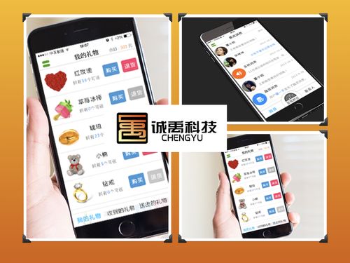 漳州軟件外包與APP開發(fā) 聚焦IM即時通訊應(yīng)用的專業(yè)服務(wù)